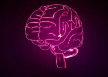 Brain Image